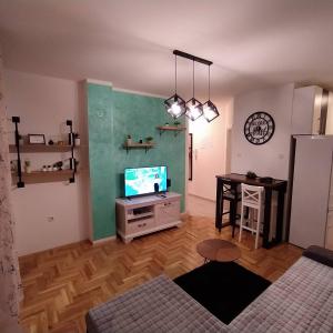TV a/nebo společenská místnost v ubytování Daniris apartman