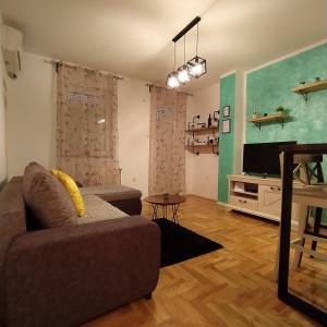 sala de estar con sofá y TV de pantalla plana en Daniris apartman en Petrovaradin