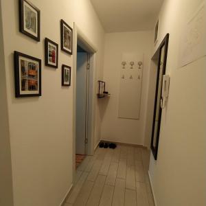 Fotografie z fotogalerie ubytování Daniris apartman v destinaci Petrovaradin