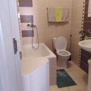 a small bathroom with a toilet and a sink at Daniris apartman in Novi Sad +16 photos