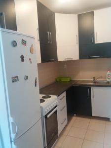 a kitchen with a white refrigerator and a stove at Daniris apartman in Novi Sad