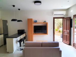 a living room with a couch and a tv at Galini View Apartments Lindos in Lindos