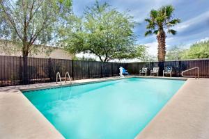 einen Pool mit einem Zaun und einer Palme in der Unterkunft Super 8 by Wyndham Casa Grande in Casa Grande