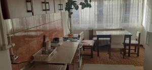 a kitchen with a stove and a table with chairs at Bajina Basta stan na dan in Bajina Bašta