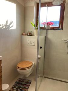 a bathroom with a toilet with a glass shower stall at Haus Brugger in Rennweg
