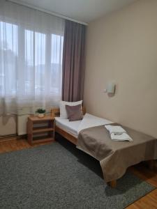 1 dormitorio con cama y ventana grande en Garni hotel Alma en Pirot