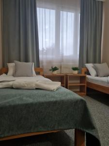 sypialnia z dwoma łóżkami i dużym oknem w obiekcie Garni hotel Alma w mieście Pirot
