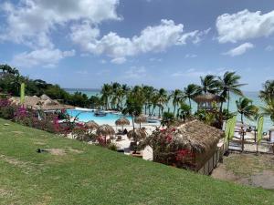 Bazen v nastanitvi oz. blizu nastanitve Studio "Ti Joyau", vue mer, piscine, classé Tourisme 4 étoiles