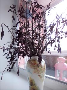 a vase with a plant sitting on a window sill at Philisa Na Turbaze in Pushkinskiye Gory