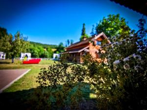 una casa en un parque con un patio con flores en Agrovillage en Labaşinţ