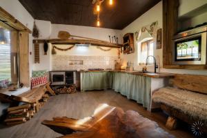 a large room with a kitchen and a living room at Conacu Iancu in Ginta