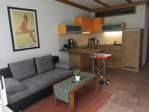 ein Wohnzimmer mit einem Sofa und einer Küche in der Unterkunft Ferienwohnung Bruno in Dresden