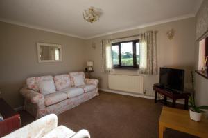 a living room with a couch and a tv at Goitre Bach Cottage in Aberaeron