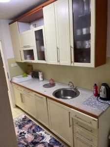 Kuchyň nebo kuchyňský kout v ubytování Apartment Host