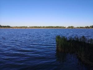 um grande lago com relva no meio dele em Rózsa Vendégház Vadkerti tó em Soltvadkert
