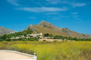 Fotografia z galérie ubytovania Owl Booking Villa Payeras - 15 Min Walk to the Beach v destinácii Port de Pollensa