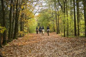 Ospiti di The Relais Henley