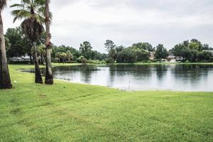 a park with palm trees and a lake at Golf and Tennis ~ Edgewater Escape in Wesley Chapel