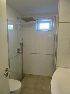un bagno con wc e doccia con finestra di Ferienwohnung HappyNES a Bad Neustadt an der Saale