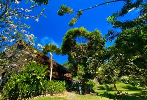 a house with trees in front of it at Pousada do Vale in Fernando de Noronha