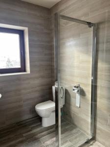 a bathroom with a toilet and a glass shower at ApartHotel in Mukacheve