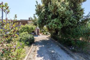 Vonkajšia záhrada v ubytovaní Villa Panada