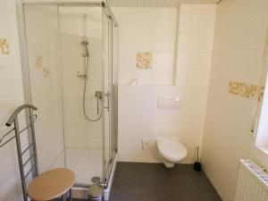 a white bathroom with a shower and a toilet at Haus Wintersonne in Feldberg