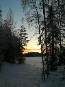un tramonto in un campo innevato con alberi di Arctic Circle Home a Rovaniemi