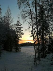 a sunset in a snow covered field with trees at Arctic Circle Home in Rovaniemi