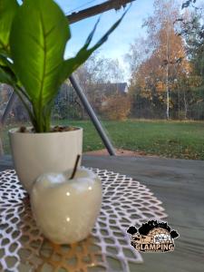 Zahrada ubytování Glamping Krauschwitz + 24 fotografií