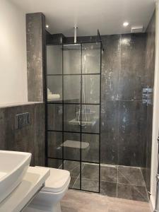 een badkamer met een douche, een toilet en een wastafel bij Booking Urban at Halstead in Halstead