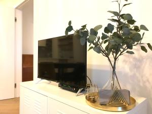 ein Wohnzimmer mit einem TV und einer Vase mit einer Pflanze in der Unterkunft Apartament Czechowska Prestige in Lublin