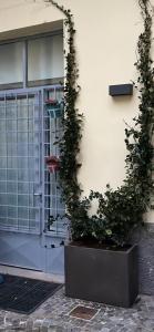 Zdjęcie z galerii obiektu White Navigli w Mediolanie
