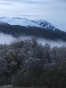 a snow covered mountain in the middle of a forest at Glas Beag in Spean Bridge