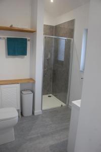 a bathroom with a shower and a toilet at Glas Beag in Spean Bridge