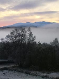 a foggy field with trees and mountains in the background at Glas Beag in Spean Bridge
