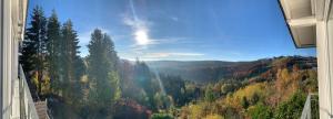 a view of a forest of trees in the mountains at Landhotel Fernsicht in Winterberg