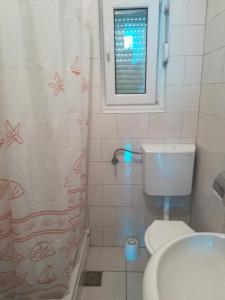 een badkamer met een toilet en een douche met een raam bij Apartman Volarevic in Donji Karin +33 foto's