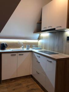 Kuchyňa alebo kuchynka v ubytovaní DW Basia pokoje i apartament