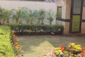 Lime Tree Hotel Sushant Lok Gurgaon Sector 29 Next to IFFCO CHOWK metro 야외 정원