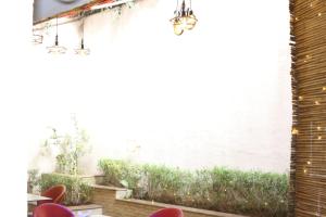Lime Tree Hotel Sushant Lok Gurgaon Sector 29 Next to IFFCO CHOWK metro 야외 정원