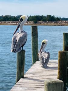 Φωτογραφία από το άλμπουμ του Waterway Inn σε Cedar Point