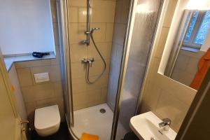 een badkamer met een douche, een toilet en een wastafel bij Villa Haniel Apartment Frieda in Dresden