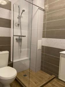 ein Bad mit einem WC und einer Glasdusche in der Unterkunft Brand new apartment with outdoor swimming pool in Warna