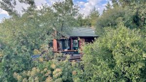 une cabane en rondins au milieu des arbres dans l'établissement First Light Cabins, à Amirim