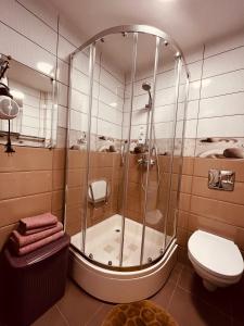 La salle de bains est pourvue d'une douche et de toilettes. dans l'établissement Apartment128, à Valmiera
