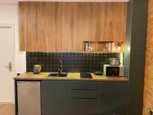 Kuchyň nebo kuchyňský kout v ubytování Alpic Redco New Gudauri Apartment 305