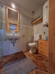 a bathroom with a toilet and a sink and a mirror at Sweet House and Apartment in Rovinj