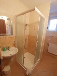 拉耶斯凱特普利采的住宿－雷雅卡多里納公寓，带淋浴和盥洗盆的浴室