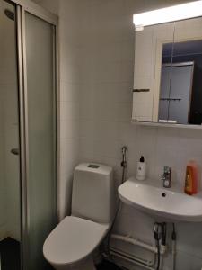 a bathroom with a toilet and a sink at Rooms at Ellivuori in Karkku